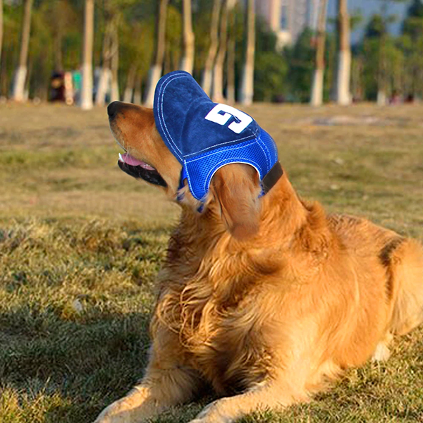 hundmössa, basebollkeps för hundar, hundmössa med öronhål, basebollkeps för hundar, husdjursmössa