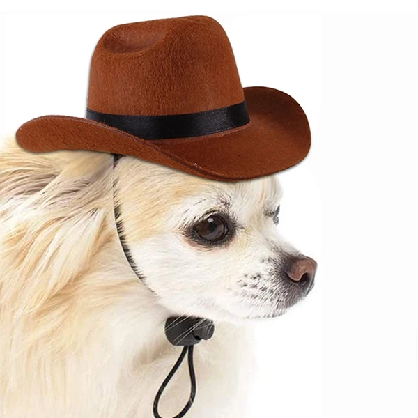 hundhatt, hundcowboyhatt, husdjurshatt