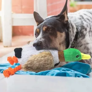 hundtuggleksak, pipande leksak, plyschanka, ankleksak