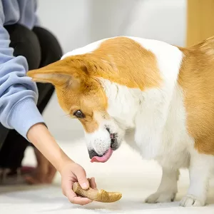 hundtuggleksak, hundtuggpinne, tuggleksak av trä, tuggleksak av hjorthorn