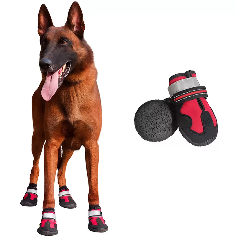 Vattentäta halkfria hundskor