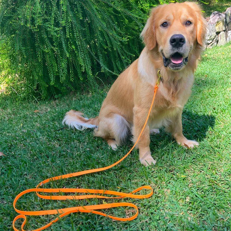 dog leash, dog training leash, waterproof dog leash, durable dog leash